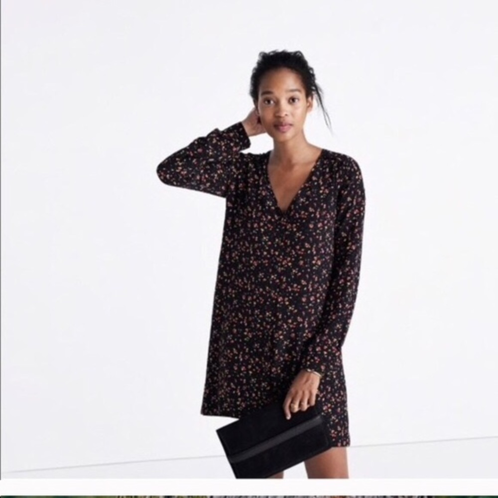 NWOT madewell et sezane silk elly shirtdress